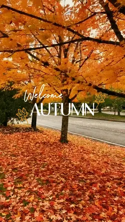 Welcome Autumn 