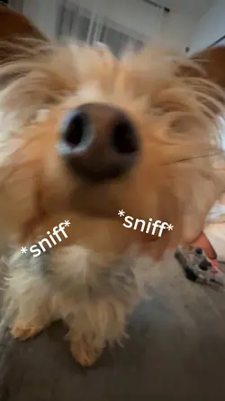 I smell something 