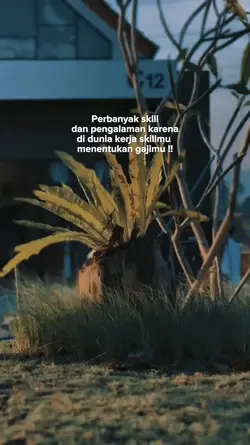 perbanyak skill