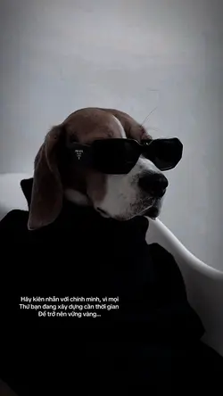 Mẫu caption