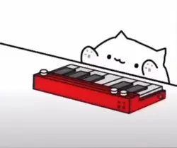 cat rhythm edit