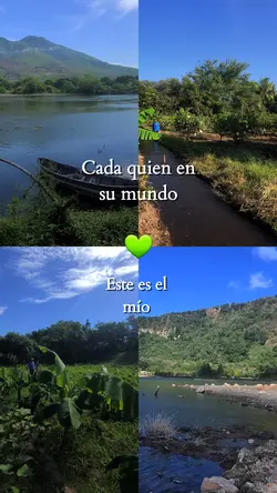 Mi hermoso mundo 