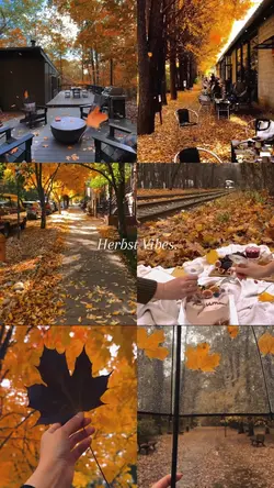 Herbst Vibes