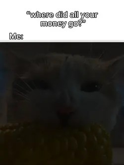 in my stomach... 