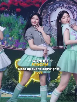FANCAM