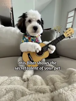 The secret talent 
