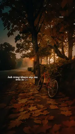 TRĂNG TÀN TRÊN HÈ PH
