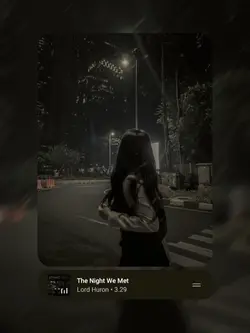 the night we met 
