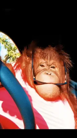 Monkey edit