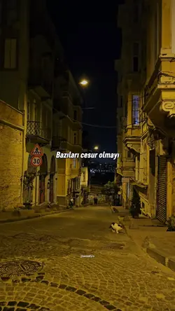 Yeni Şablon
