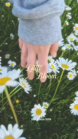 Little Bloom 

