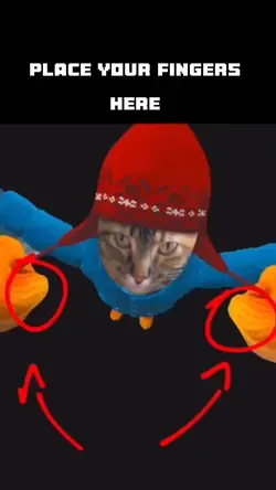 Spin with cat