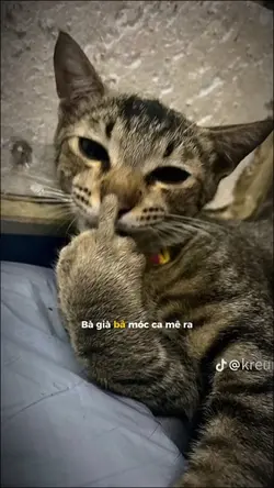 Bà già bả móc camera