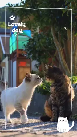 lovely day pet