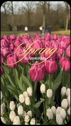 Spring in Amsterdam