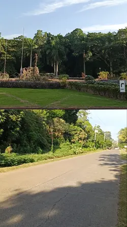 2 videos one frame 