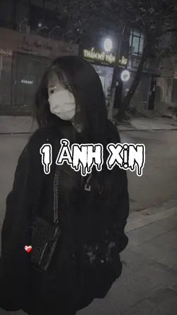 Trình chiếu 