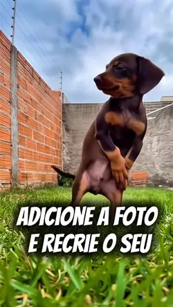 Cachorro dançando Ia