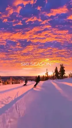 Ski Season