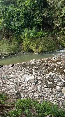 diskarte lang...
