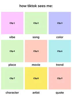 how tiktok sees me