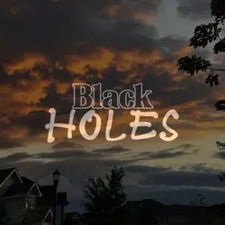 Black holes