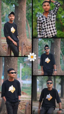 5 Frame Trend 