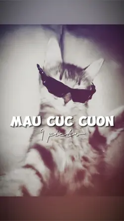 9 ẢNH CỰC CUỐN 