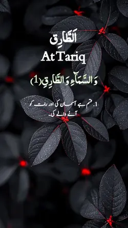 At Tariq  //
