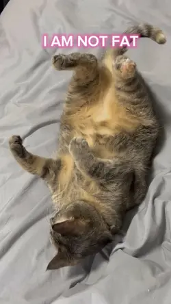 I’m not fat
