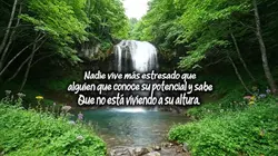 Metas 
