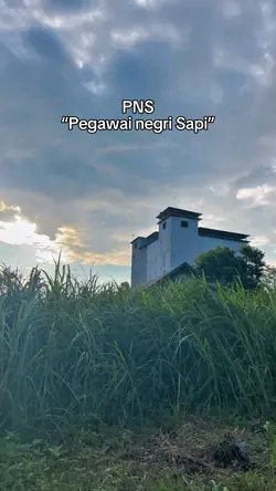 Story peternak