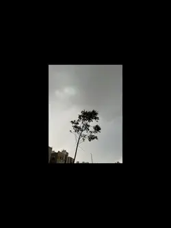 يابدوية