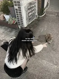 mơ