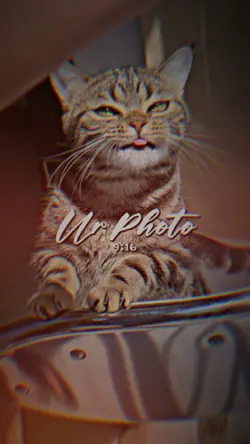 3รูป มาแรงๆ