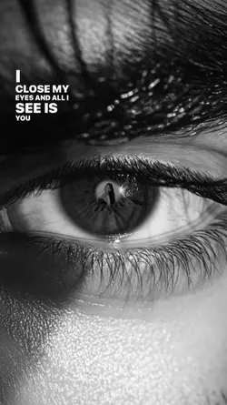 house eyes