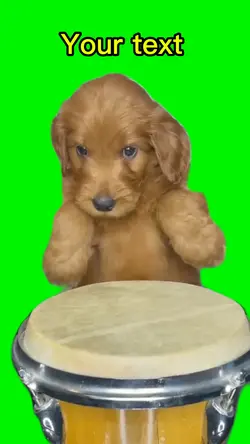 Drummer 