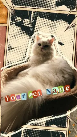 Introduction Pet