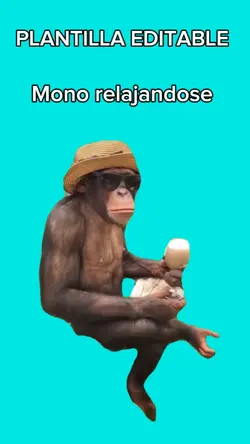 Mono relajandose 