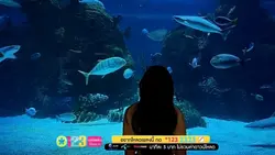 ยังโสด