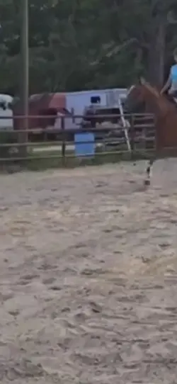 Cindy jumping 