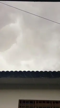 Pergi atau setia
