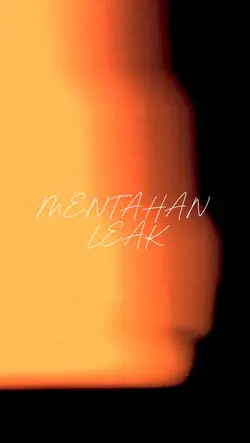 MENTAHAN LEAK