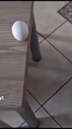 صباح الخير هبعقععقعق