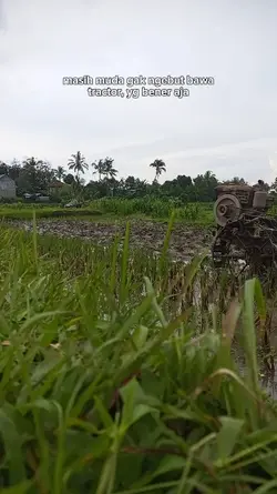rugi dong