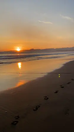 1 video sad vibes
