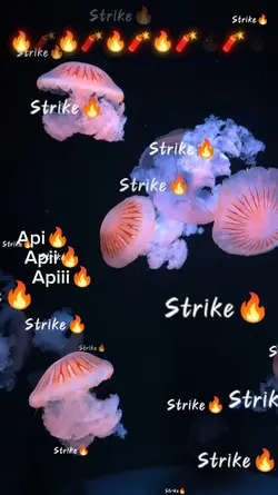 api strike tiktok