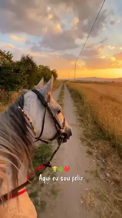 Aqui eu sou Feliz 