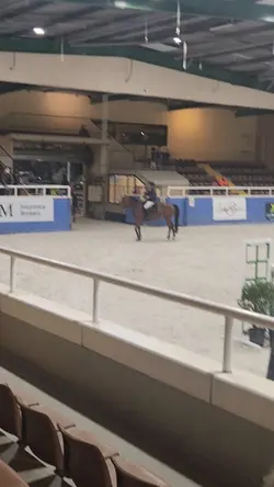 winner pony