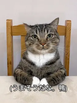 鴨うまそう